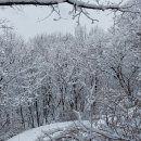 역후공원 이미지