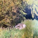 인하메디칼 | [구월동 맛집] 카츠오모이 프리미엄 등심 후기! 케이크랑 vs 카페리프 비교 (결혼 D-5👰‍♀️ㅎ)