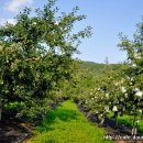 경재농장 이미지