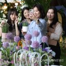 더 호프 이미지