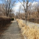 마포, 걷고싶은길 6코스 이미지