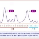 제로키센타