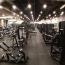 뉴바디휘트니스 이미지