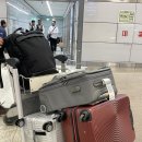 임산부,18개월 아기랑 장거리비행/아기랑 UAE/인천공항 예약주차장 이용후기/에띠하드항공 베시넷 좌석예약