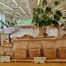 유수암숲 이미지