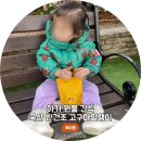 예다곶감 영농조합법인 | [공지] 26개월 아기 원물 간식, 국산 100% 반건조 고구마 말랭이 후기