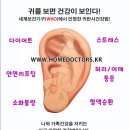 귀 건강학(이혈테라피) 네이버블로그