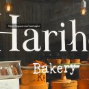 신논현역 1번출구 뒤 이미지