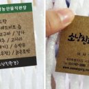 제주몽글랑