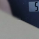 반딧불청과 이미지