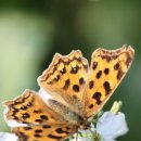 이서농장 이미지