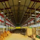 별빛축산 이미지