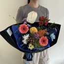 깔랑드플레르 이미지
