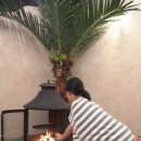 카프리솔레 이미지
