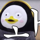 121르말뒤페이