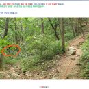 삼성초교 이미지