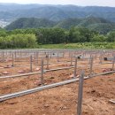 영양태양광발전소 이미지