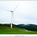 하늘목장 이미지