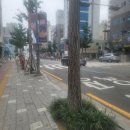 61번째 일기 [7월 넷째주]