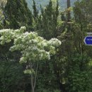 석대천로 이미지