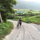 칠곡 고향민박 | 국토종주 (부산 을숙도~충주 탄금대) 16.07.29~08.02