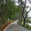 몰운대꼼장어 이미지