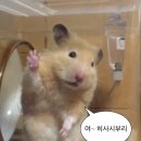 가산생갈비