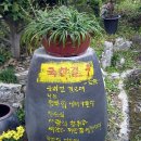 황토와 들꽃세상 이미지