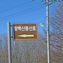 한아울 산악회와 정선 함백산 눈산행/ 2025년2월9일 이미지