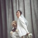 다사랑스튜디오