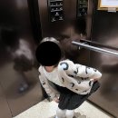 [내돈내산] 부평지하상가 롯데마트 주차장 이용후기, 라라봉봉 모직주름스커트 구매후기