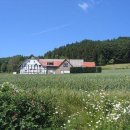 언덕위의 집 이미지