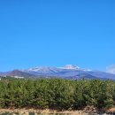 롯데스카이힐제주CC 이미지