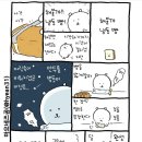 곰김밥 이미지