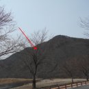 무주읍161 네이버블로그
