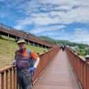 제천 의림지 솔밭공원(2025. 8. 12.) 이미지