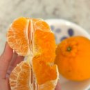 이상만농장 이미지