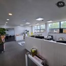 도그도담 이미지