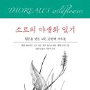 소로 소로 이미지