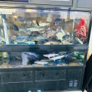 형산강횟집 이미지