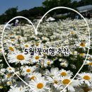 합도초등학교 | -사슴히의 나들이: 5월에 가기좋은 꽃여행 베스트 6 모음 (5월 여행지 추천, 꽃구경 추천할만한코스...