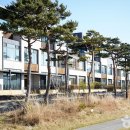 메이플비치 골프&리조트 이미지