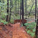 옥화자연휴양림 이미지