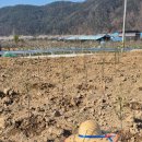 달창농장 이미지