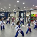 리틀아이 태권도장 이미지