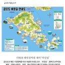 2015년3월28일 - 해를 머금은 여수 &#34;향일암&#34; 빨갛게 멍든 동백꽃잎의 &#34;금오도 비렁길&#34; 남도의 암능미 고흥 &#34;팔영산&#34; 이미지