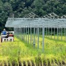 한창태양광발전소 이미지