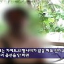 패키지 여행사