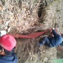 대도농장 이미지