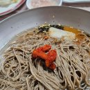 화수막국수 | [강원도 고성 맛집] 백촌막국수_내돈내산 교암리 해수욕장 근처 찐맛집 금요일 웨이팅 후기